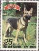 Colnect-2127-536-German-Shepherd-Canis-lupus-familiaris.jpg