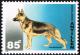 Colnect-2205-784-German-Shepherd-Canis-lupus-familiaris.jpg