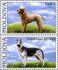 Colnect-3108-586-Poodle-German-Shepherd-Canis-lupus-familiaris.jpg