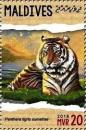 Colnect-4940-138-Panthera-tigris-sumatrae.jpg