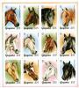 Colnect-4922-745-12-Horses-from-Chestnut-Thoroughbred-Colt---Arab.jpg