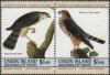 Colnect-1753-935-Sharp-shinned-Hawk-and-Merlin.jpg