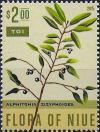 Colnect-2703-548-Alphitonia-zizyphoides.jpg