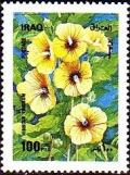 Colnect-1894-393-Hibiscus-trionum.jpg