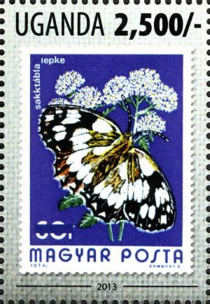 Colnect-3053-207-Marbled-White-Melanargia-galathea.jpg