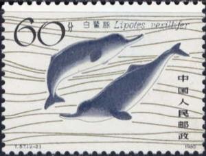Colnect-3659-670-Two-dolphins-Lipotes-vexillifer.jpg