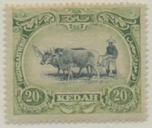 Colnect-6008-149-Malay-Ploughing-Feather-In-Cap-Variety.jpg