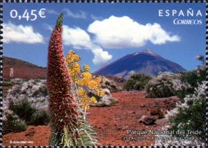 Colnect-613-381-Mount-Teide-bugloss-Echium-wildpretii-in-Teide-National-Pa.jpg