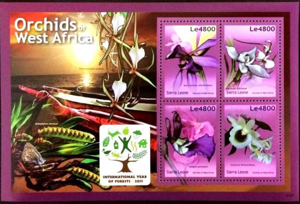 Colnect-4875-630-Orchids-of-West-Africa.jpg