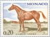 Colnect-148-195-Anglo-Arab-Horse-Equus-ferus-caballus.jpg