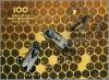 Colnect-4383-959-European-Honey-Bee-Apis-mellifera.jpg
