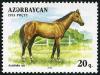 Colnect-4879-784-Akhalteka-Horse-Equus-ferus-caballus.jpg