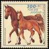 Colnect-5218-417-Hanoverian-Horse-Equus-ferus-caballus.jpg