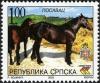 Colnect-577-645-Posavina--s-Horse-Equus-ferus-caballus.jpg