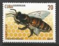 Colnect-4628-806-Asian-Honey-Bee-Apis-cerana.jpg