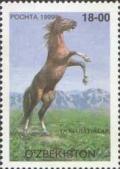 Colnect-808-319-Korabajiry-Horse-Equus-ferus-caballus.jpg