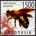 Colnect-976-144-Giant-Honeybee-Apis-dorsata.jpg