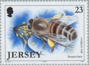 Colnect-127-987-European-Honey-Bee-Apis-mellifera.jpg