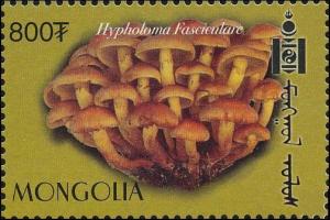 Colnect-1290-188-Hypholoma-fasciculare.jpg