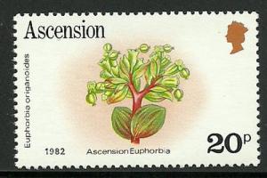 Colnect-1297-577-Ascension-Euphorbia-Euphorbia-origanoides.jpg