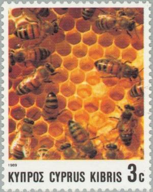 Colnect-177-343-European-Honeybee-Apis-mellifica.jpg