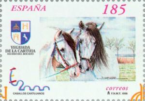 Colnect-181-155-Carthusian-Horse-Equus-ferus-caballus.jpg
