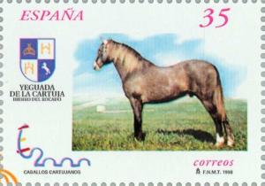 Colnect-181-156-Carthusian-Horse-Equus-ferus-caballus.jpg