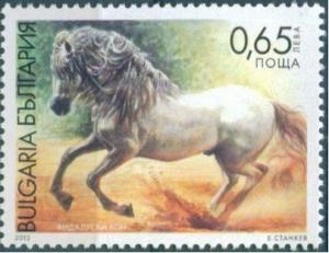 Colnect-1854-271-Andalusian-Horse-Equus-ferus-caballus.jpg