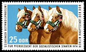 Colnect-1979-259-Haflinger-Horse-Equus-ferus-caballus.jpg