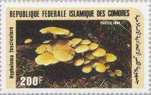Colnect-2538-646-Hypholoma-fasciculare.jpg