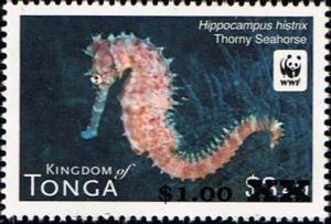 Colnect-2973-369-Spiny-Seahorse-Hippocampus-histrix.jpg