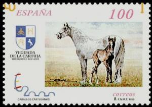 Colnect-3162-644-Carthusian-Horse-Equus-ferus-caballus.jpg