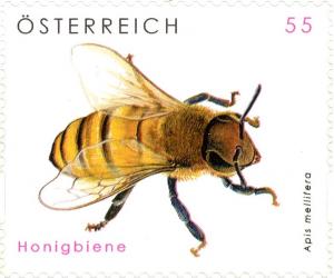 Colnect-5080-090-European-Honey-Bee-Apis-mellifera.jpg