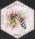 Colnect-5740-138-Black-Dwarf-Honey-Bee-Apis-andreniformis.jpg