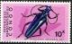 Colnect-1104-891-Mecosaspis-Longhorn-Beetle-Mecosaspis-explanta.jpg