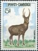 Colnect-3891-537-Indian-Hog-Deer-Axis-porcinus-.jpg