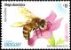 Colnect-4117-107-European-Honey-Bee-Apis-mellifera.jpg