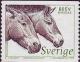 Colnect-434-668-Przewalski--s-Horse-Equus-ferus-przewalskii.jpg