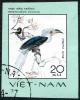 Colnect-4608-715-White-crowned-Hornbill-Berenicornis-comatus.jpg