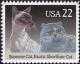 Colnect-4850-193-Siamese-Cat-Exotic-Shorthair-Cat-Felis-silvestris-catus.jpg