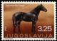 Colnect-700-470-Ljutomer-s-Horse-Equus-ferus-caballus.jpg