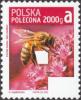Colnect-4808-319-European-Honey-Bee-Apis-mellifera.jpg