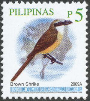 Colnect-2875-315-Brown-Shrike-Lanius-cristatus.jpg