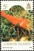 Colnect-5616-370-Red-Night-Shrimp-Rhynchocinetes-rigens.jpg