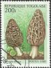 Colnect-1256-158-Sponge-mushroom-Morchella-deliciosa.jpg