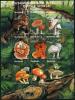 Colnect-3263-784-Mushrooms-and-Insects.jpg