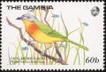 Colnect-1462-489-Grey-headed-Bushshrike-Malaconotus-blanchoti-.jpg