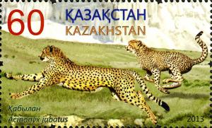 Stamps_of_Kazakhstan%2C_2013-58.jpg