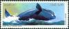 Colnect-3281-899-Southern-Right-Whale-Eubalaena-australis.jpg