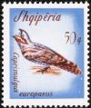 Colnect-5087-000-European-Nightjar-Caprimulgus-europaeus-.jpg